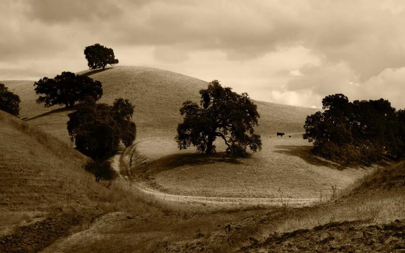 Dolar ve Euro'da Son Durum: İşte 22 Mart Kurları